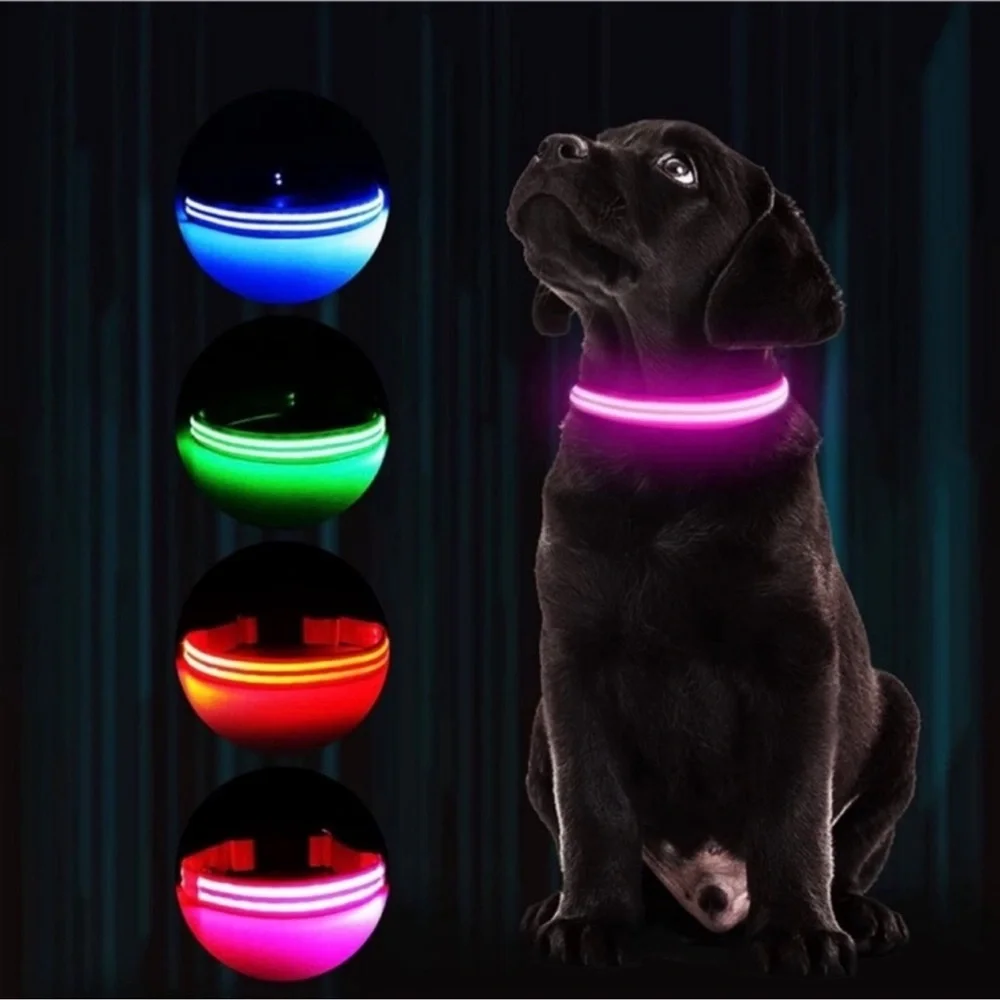 BLUE LIGHT UP DOG COLLAR LEASH SIZE SMALL